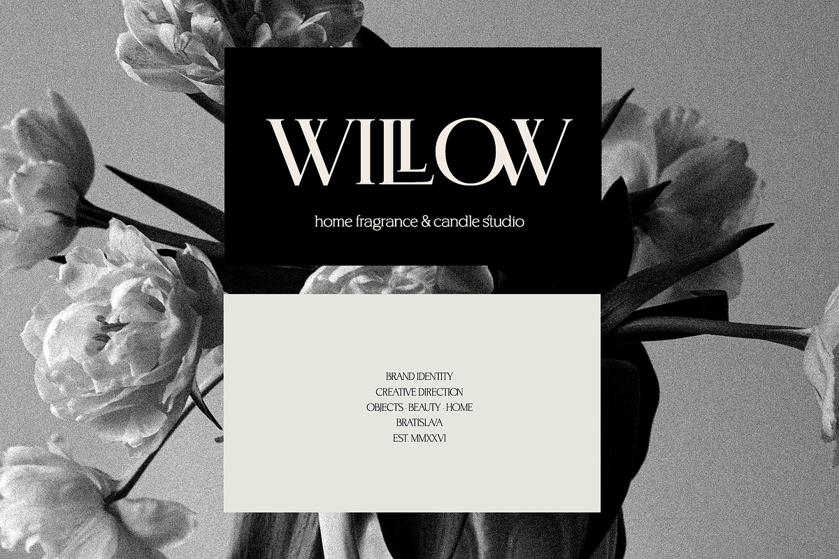 BrandNew – Luxury Serif Family, a Serif Font by BilberryCreates (Photo 5 of 16)