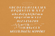 Castello Typeface | Retro Bold Serif, a Serif Font by Almeera Std (Thumbnail 7 of 12)