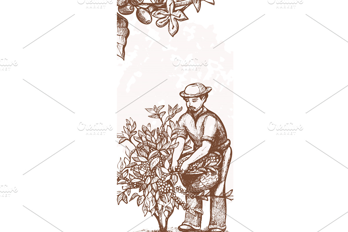 Sketch man cultivating plants, an Illustration by KitVector