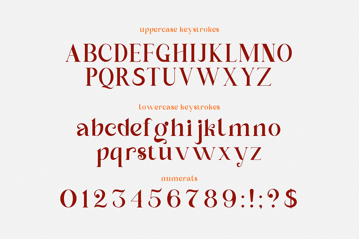 Dinah Glamour / Regular Font, a Serif Font by Anastasia Cuza (Photo 13 of 15)