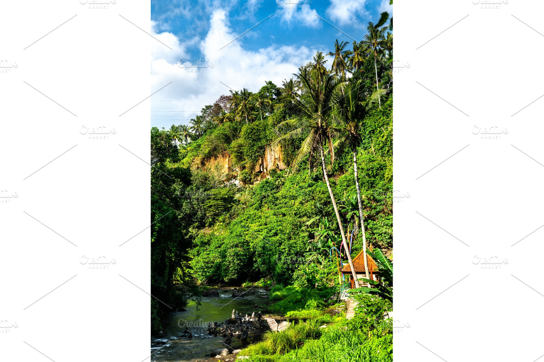 The Petanu River downstream, a Nature Photo by Leonid Andronov