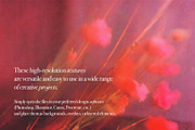 Cinematic Blur - Floral Backgrounds, a Background Graphic by lerinartstudio (Thumbnail 3 of 12)