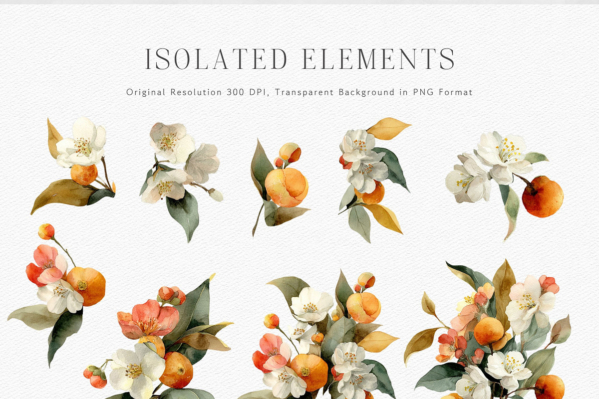 Watercolor Mandarin Clipart Set, a Decorative Illustration by ThaismotaCreativeCo (Photo 2 of 13)