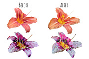 Watercolor brushes set., a Brush Add-On by redstudio (Thumbnail 7 of 8)
