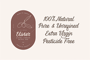 Alluring Calligraphy Fonts, a Script Font by 50Fox (Thumbnail 8 of 14)