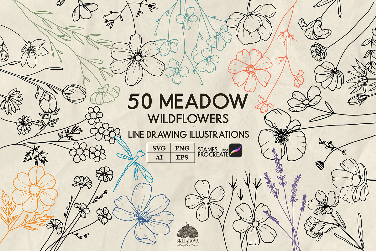 Meadow wildflowers + Procreate, a Decorative Illustration by Skliarova (Photo 1 of 3)