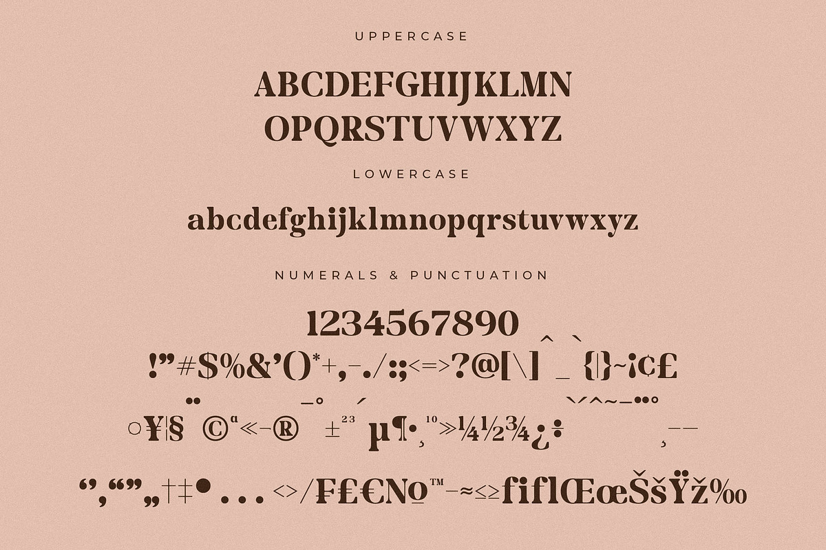 Merifto Modern Serif Font, a Serif Font by Storytype Studio (Photo 13 of 15)