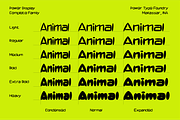 Power Display Font Family, a Font by Power Type™ Foundry (Thumbnail 5 of 10)