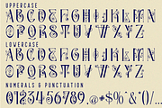 Article Master - Decorated Font, a Serif Font by 177Studio (Thumbnail 9 of 9)