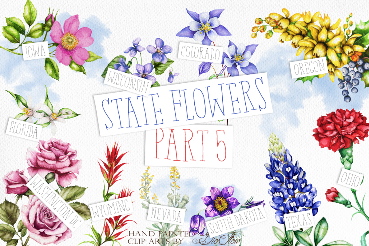 US State Flowers Part 5 Illustration, an Illustration by DioFlow (Photo 1 of 4)