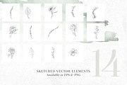 RoSA - Floral Clipart, an Illustration by The Autumn Rabbit Ltd (Thumbnail 10 of 14)
