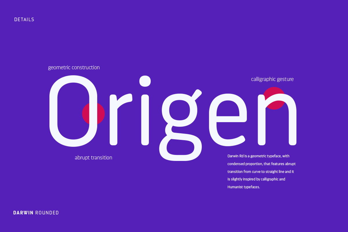Darwin Rounded - Family 50% off, a Sans Serif Font by Los Andes Type (Photo 9 of 15)