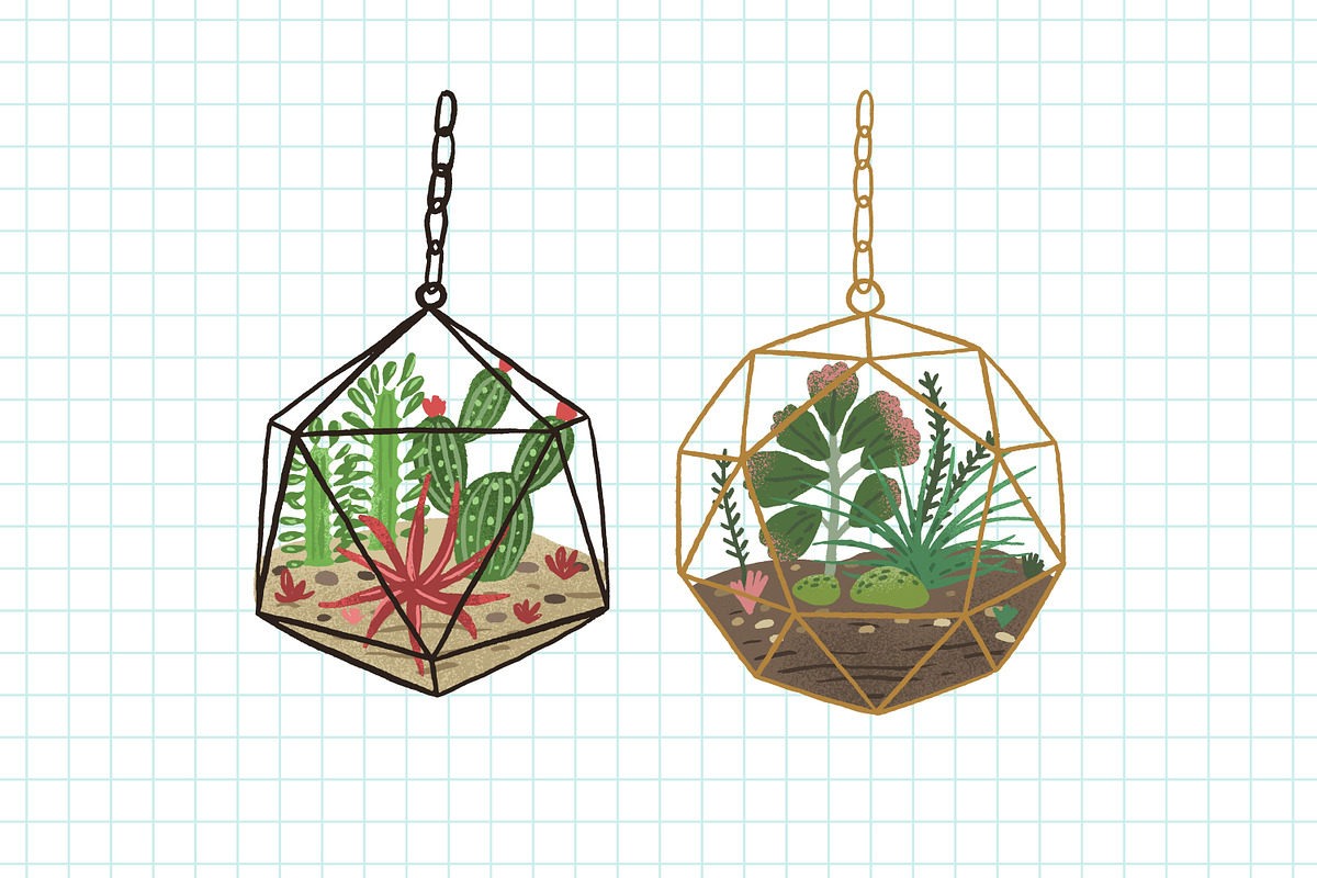 Florarium composition banner, a Decorative Illustration by Good Studio (Photo 2 of 3)