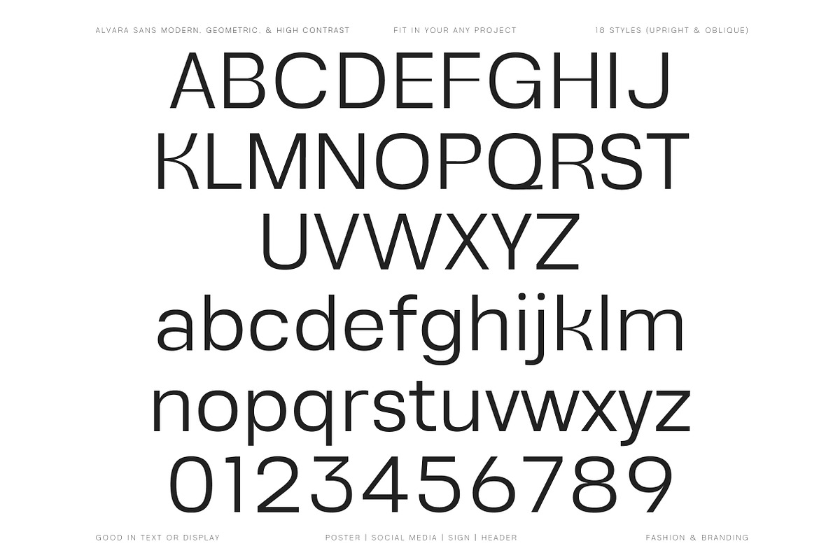 Alvara Sans High Contrast Family, a Sans Serif Font by Lettertype Studio (Photo 7 of 15)