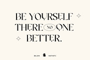 Belgan Aesthetic, a Serif Font by INKSUN™ (Thumbnail 5 of 16)
