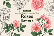 Flowers Roses. Sketch vector, an Illustration by irina.vaneeva (Thumbnail 1 of 3)