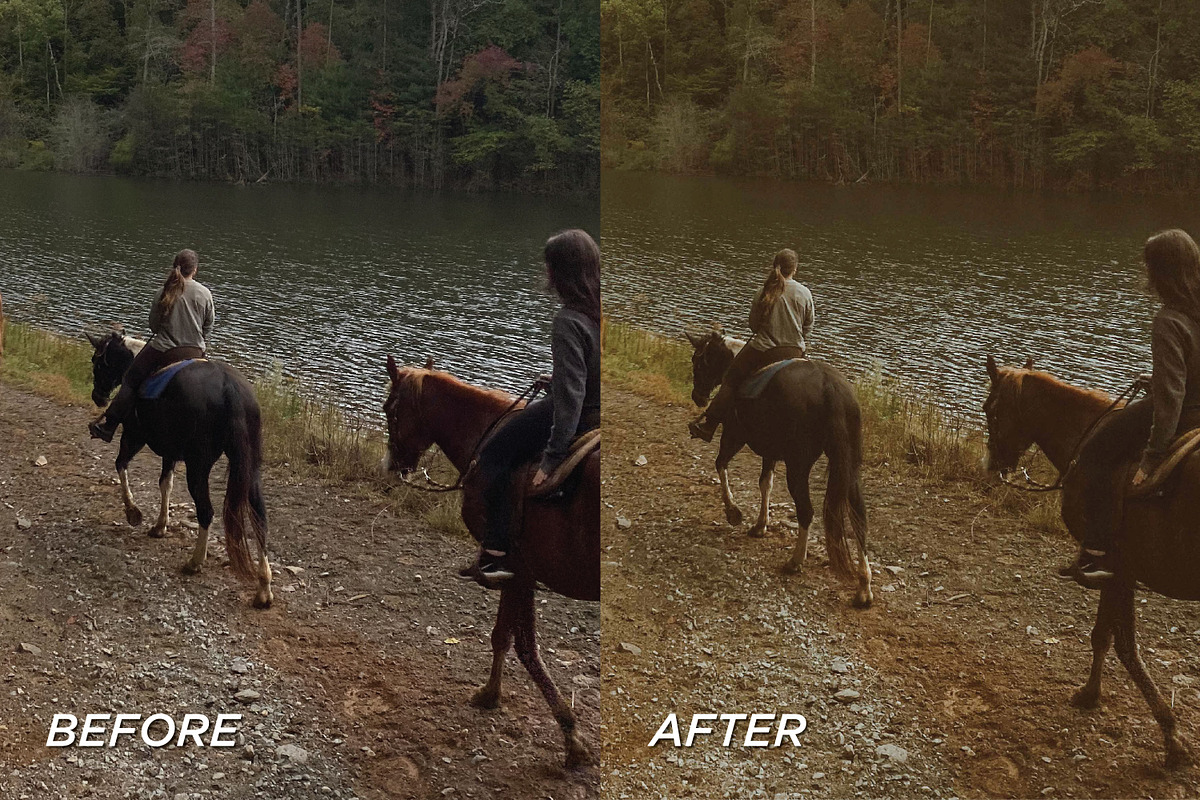 25 Fall Film Lightroom Presets, a Preset Add-On by TheWayfarerShoppe (Photo 2 of 7)