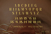 Mastins Elegant Serif Font, a Serif Font by Graphicxell (Thumbnail 8 of 8)