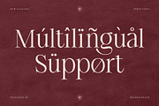 Chérié – Ligature Serif Family Font, a Serif Font by Krismagraph (Thumbnail 8 of 15)