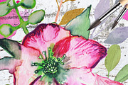Watercolor clipart; Romantic wreath, an Illustration by Download Graphic Art (Thumbnail 5 of 8)