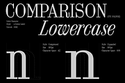 FTC Foldyne, a Serif Font by Fridaytype (Thumbnail 4 of 12)