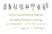 Lemon Verbena Handwritten Font, a Script Font by Susan Brand Design (Thumbnail 5 of 5)