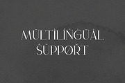 Gloré Modern Ligature Font, a Serif Font by Heinzel Std (Thumbnail 17 of 18)