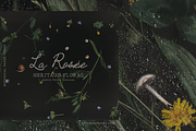 La Rosee Botanical Backgrounds, a Wallpaper Graphic by nadispasibenko (Thumbnail 3 of 9)