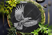Flying Raven Mysterious Dark Circle, a Background Graphic by LaseredNinja (Thumbnail 6 of 7)