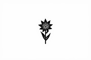 Black Floral Silhouette Set, an Illustration by balal (Thumbnail 14 of 21)
