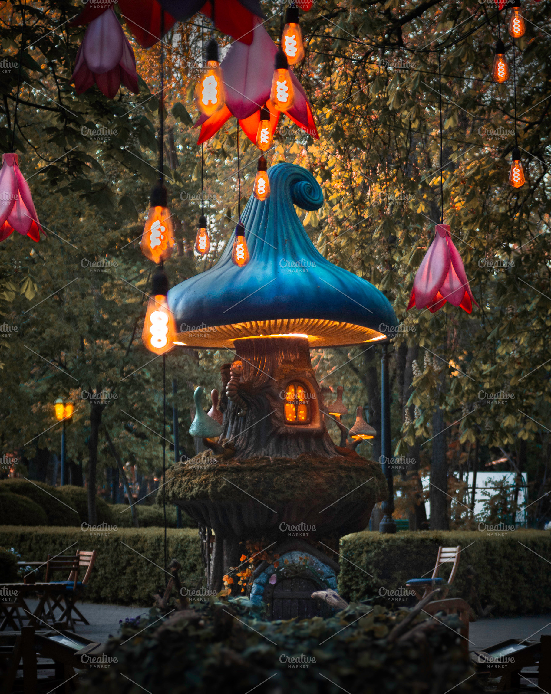 Magical Mushroom House in an Enchant, a Background Photo by Stasia.photo
