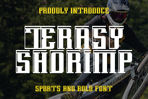 TeRASY SHORIMP, a Slab Serif Font by Viswal Studio