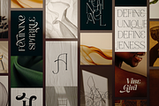 Consumer Type - elegant font family, a Serif Font by VP Fonts (Thumbnail 14 of 18)