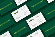 Business cards templates: financial, a Business Card Template by Srg® (Thumbnail 9 of 11)