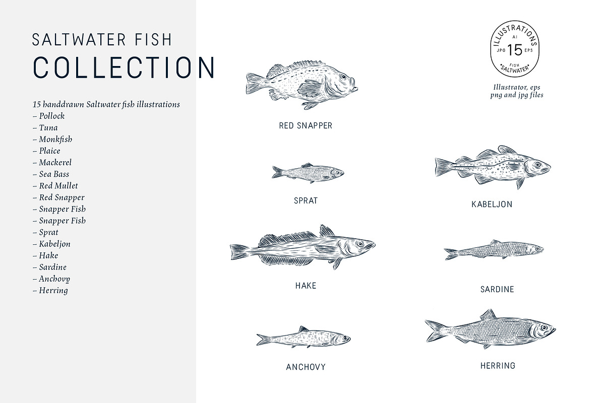 The Saltwater Fish Collection, an Animal Illustration by dicreate (Photo 3 of 6)
