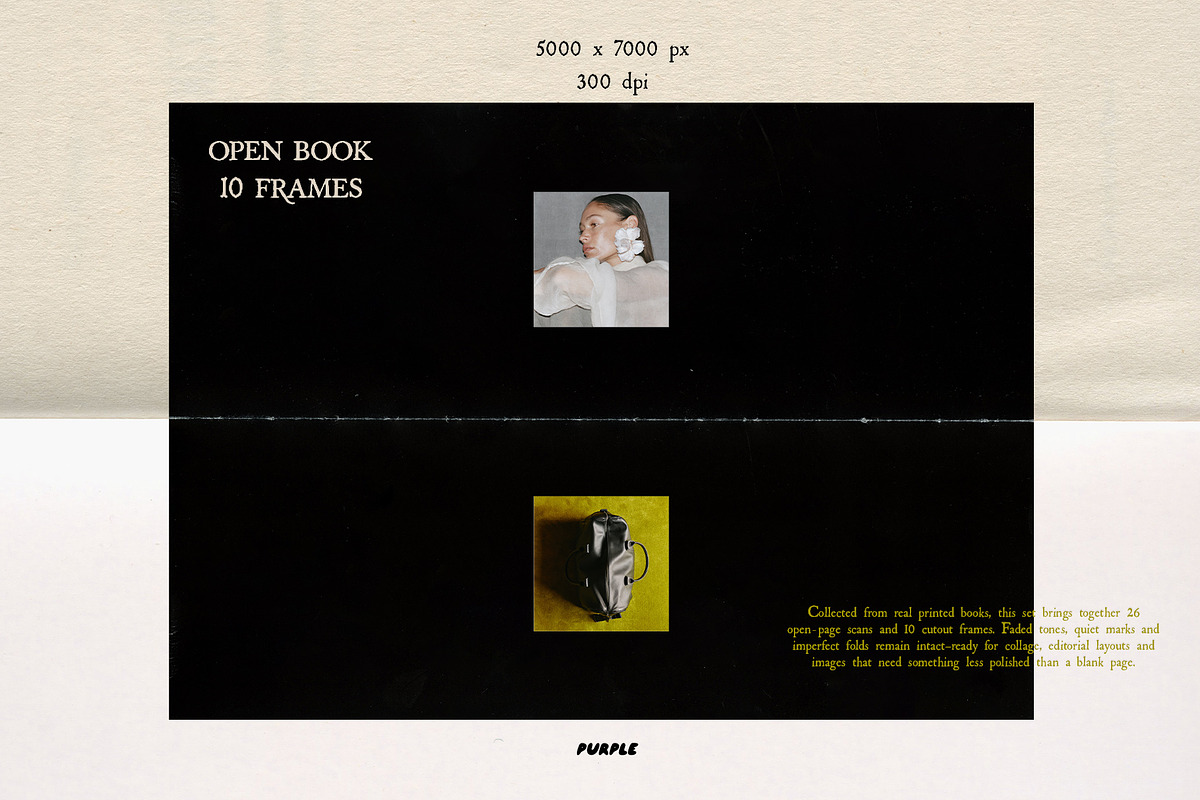 Open Book Paper Scans & Frames, a Texture Graphic by Purple (Photo 3 of 11)