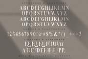 Serizawa - Classic Serif Font, a Serif Font by StringLabs (Thumbnail 11 of 12)