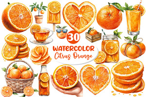 Watercolor Citrus Orange Clipart, an Illustration by Dream Creation