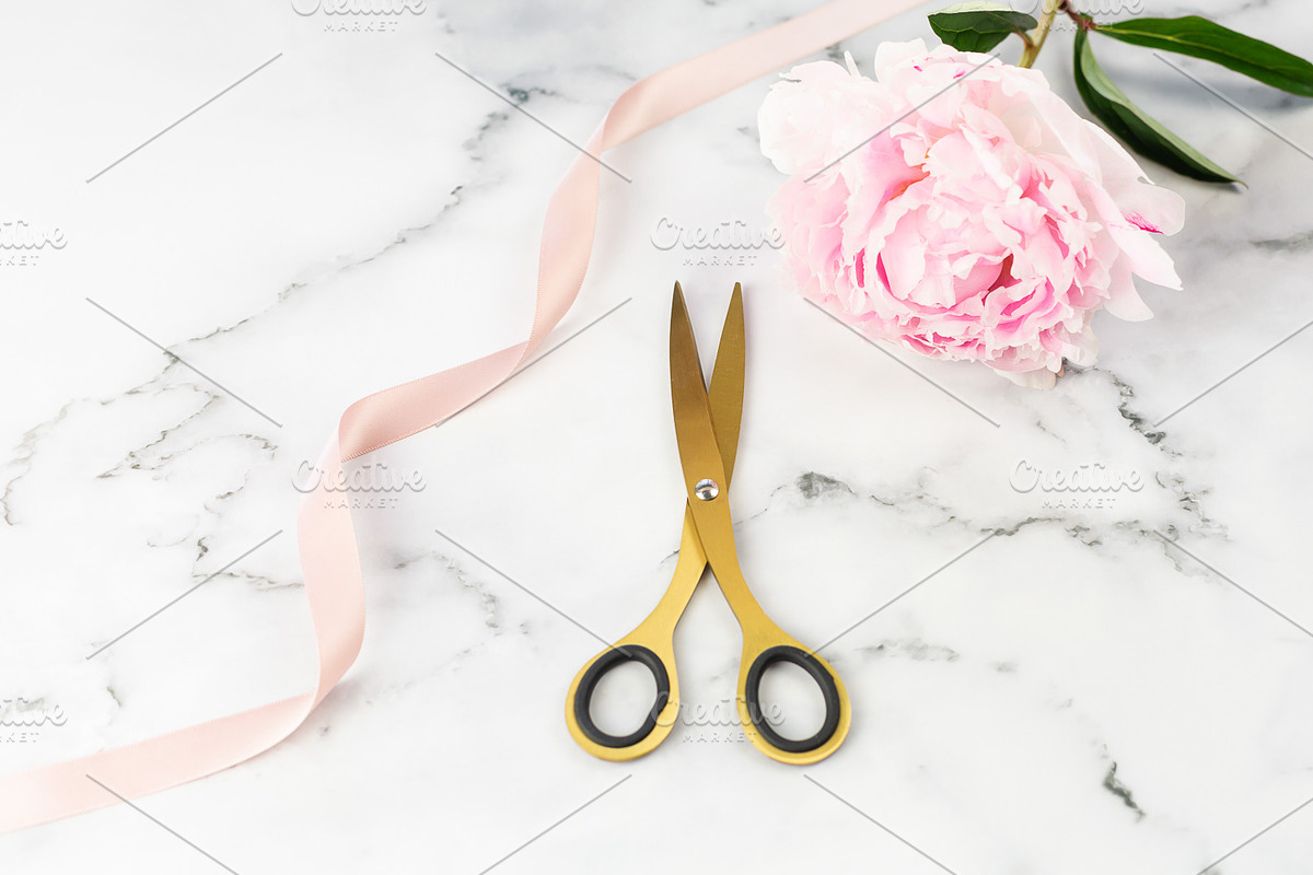 Stock Photo Bundle - Light Pink, a Background Photo by Savvy Stock Shop (Photo 10 of 11)