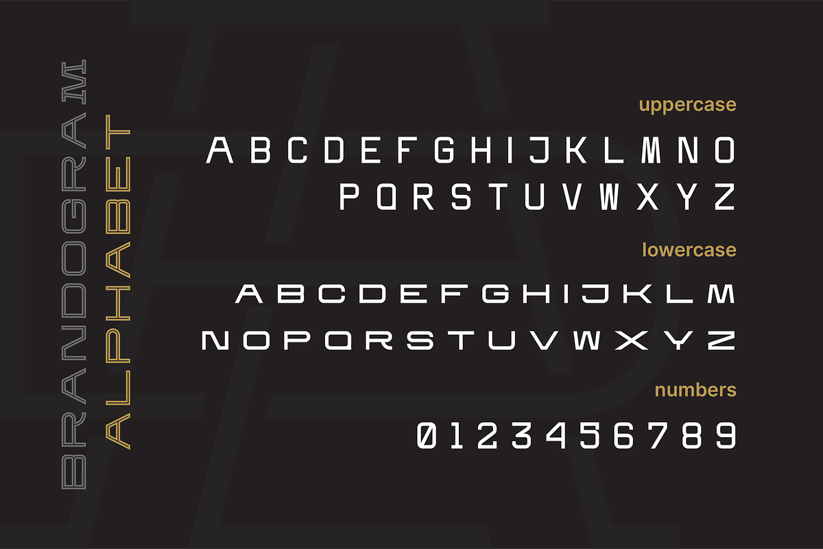 Brandogram Bold Monogram Typeface, a Slab Serif Font by Bogdan Casota (Photo 2 of 6)