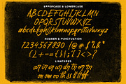 Pomthinq - Brush Script Font, a Script Font by StringLabs (Thumbnail 11 of 12)