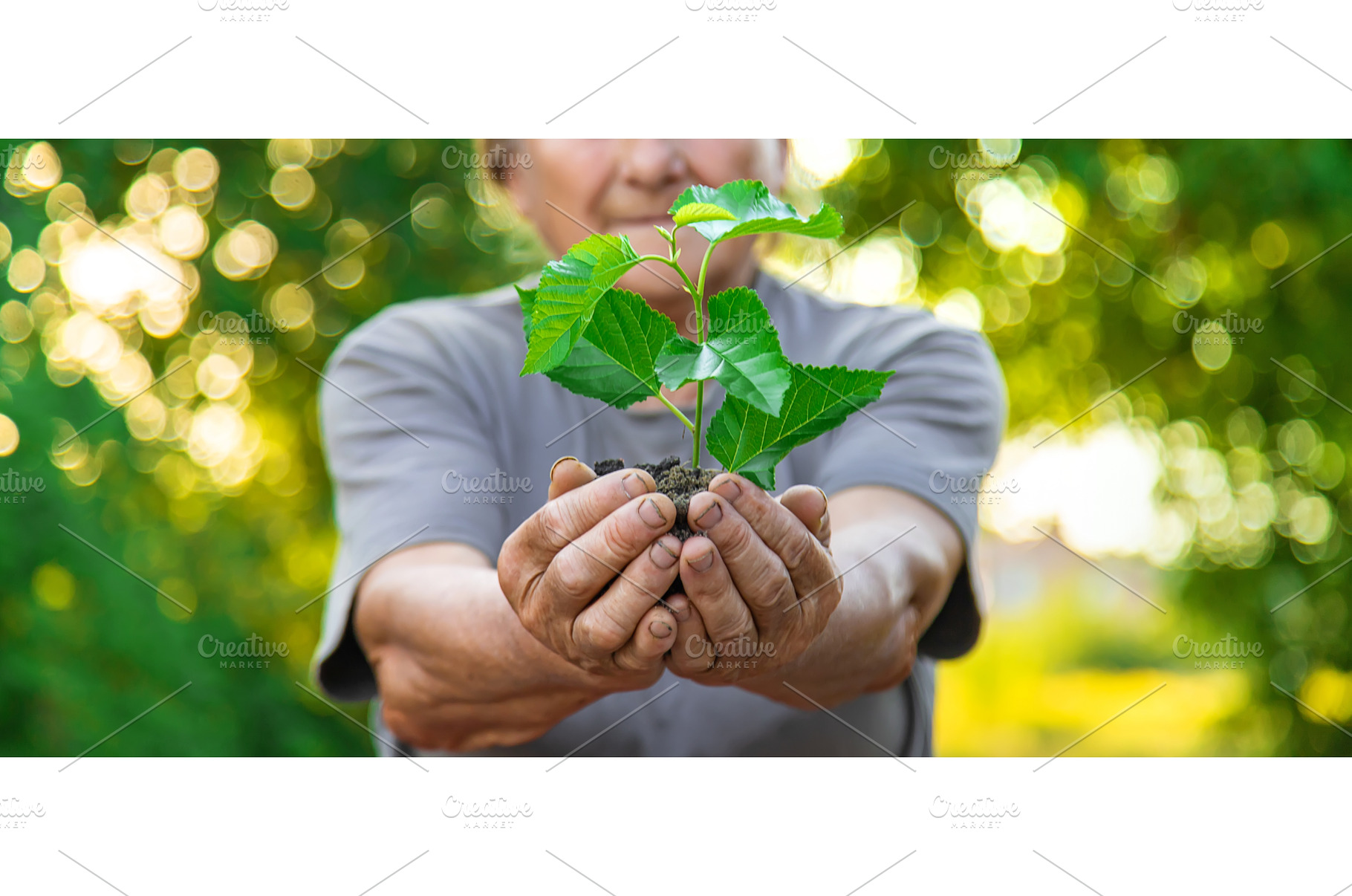 Grandmother is planting a tree in, a Nature Photo by yanadjana