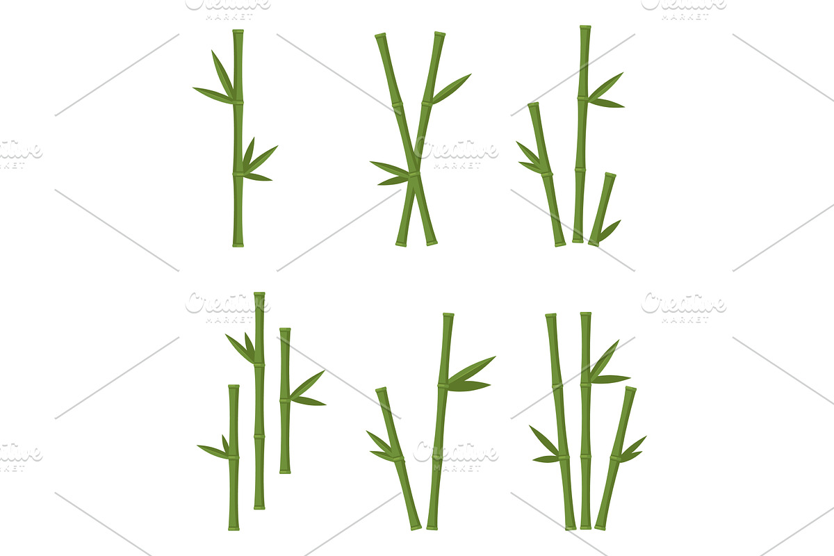 Bamboo stems of different sizes with, an Object Illustration by Vectorbuum