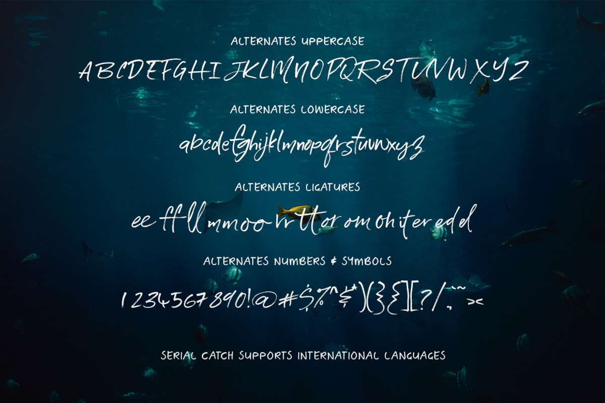 Serial Catch Font, a Script Font by Creativeqube Design (Photo 17 of 22)