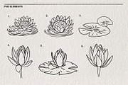 Set of water lilies and flowers PNG, a Decorative Illustration by LOKSKIH (Thumbnail 3 of 10)