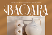 Rich Dashy Modern Elegant Serif, a Script Font by timelesstype.co (Thumbnail 2 of 20)