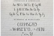 Dandelion, a Handwritten Font by FreshTypeINK (Thumbnail 8 of 8)