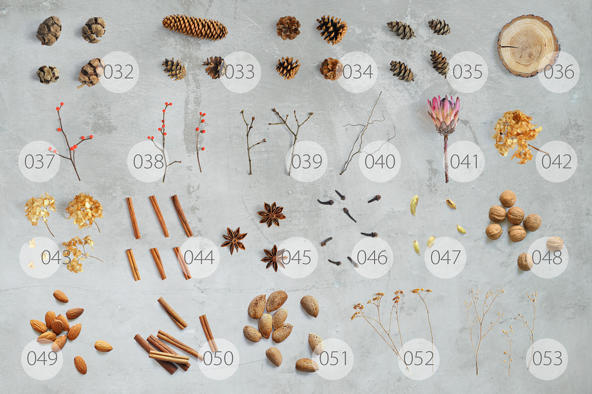 WINTER PLANTS | Scene Creator, a Product Mockup by bariskina (Photo 5 of 5)