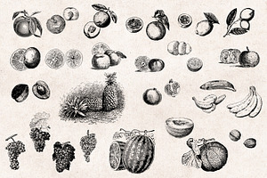 Fruits Engravings Set