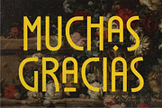 PREQUEL DISPLAY, a Sans Serif Font by Glowtype (Thumbnail 15 of 15)